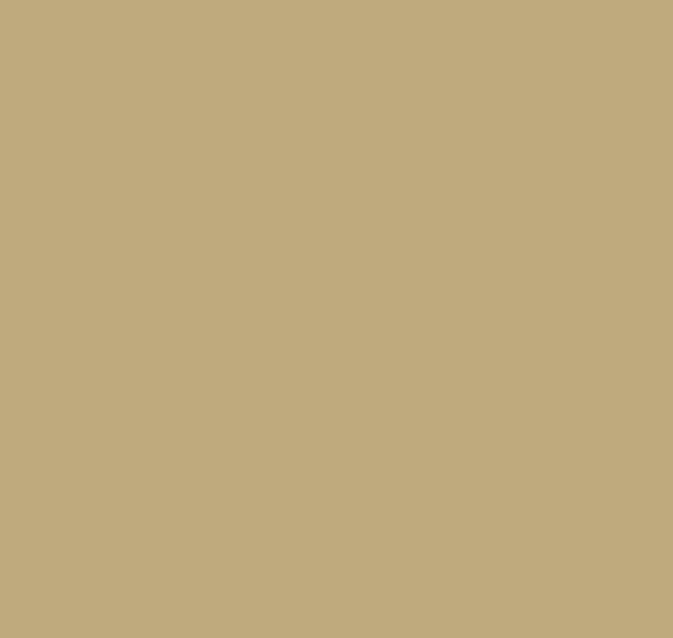 Plain AM3 105/1