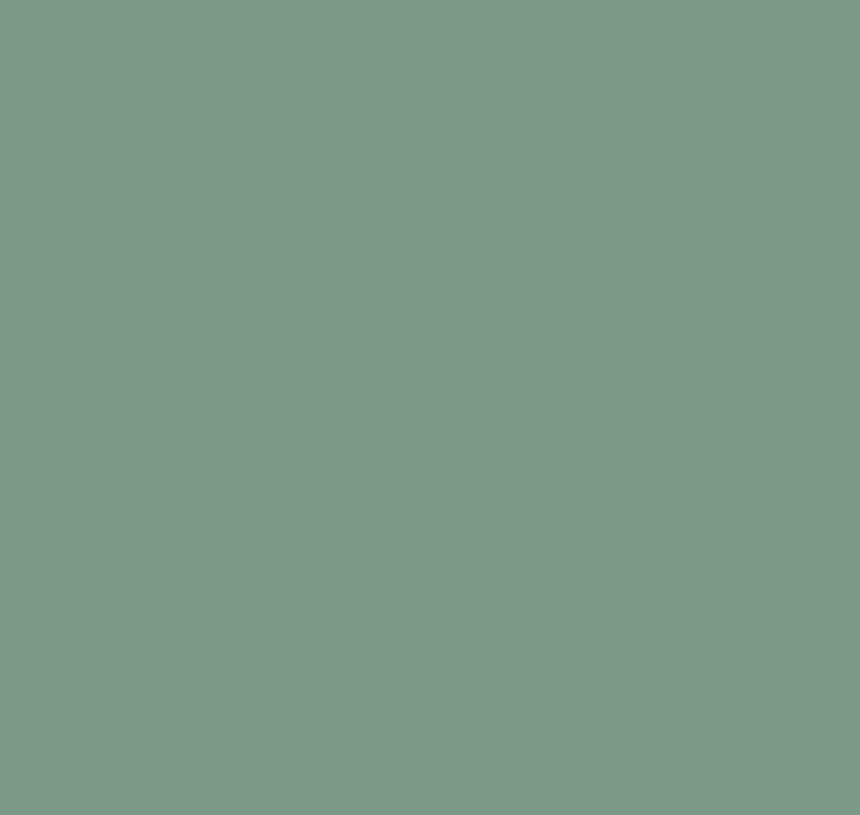 Plain AM3 018/3