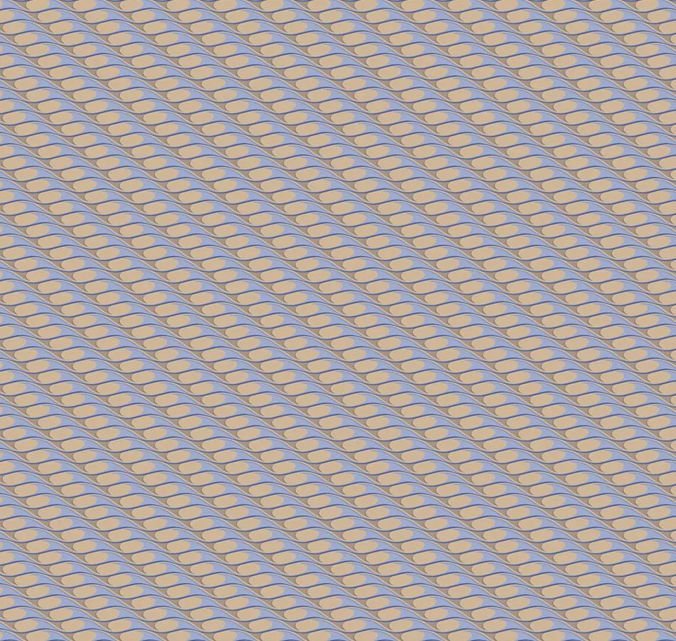 CLR1 021/1