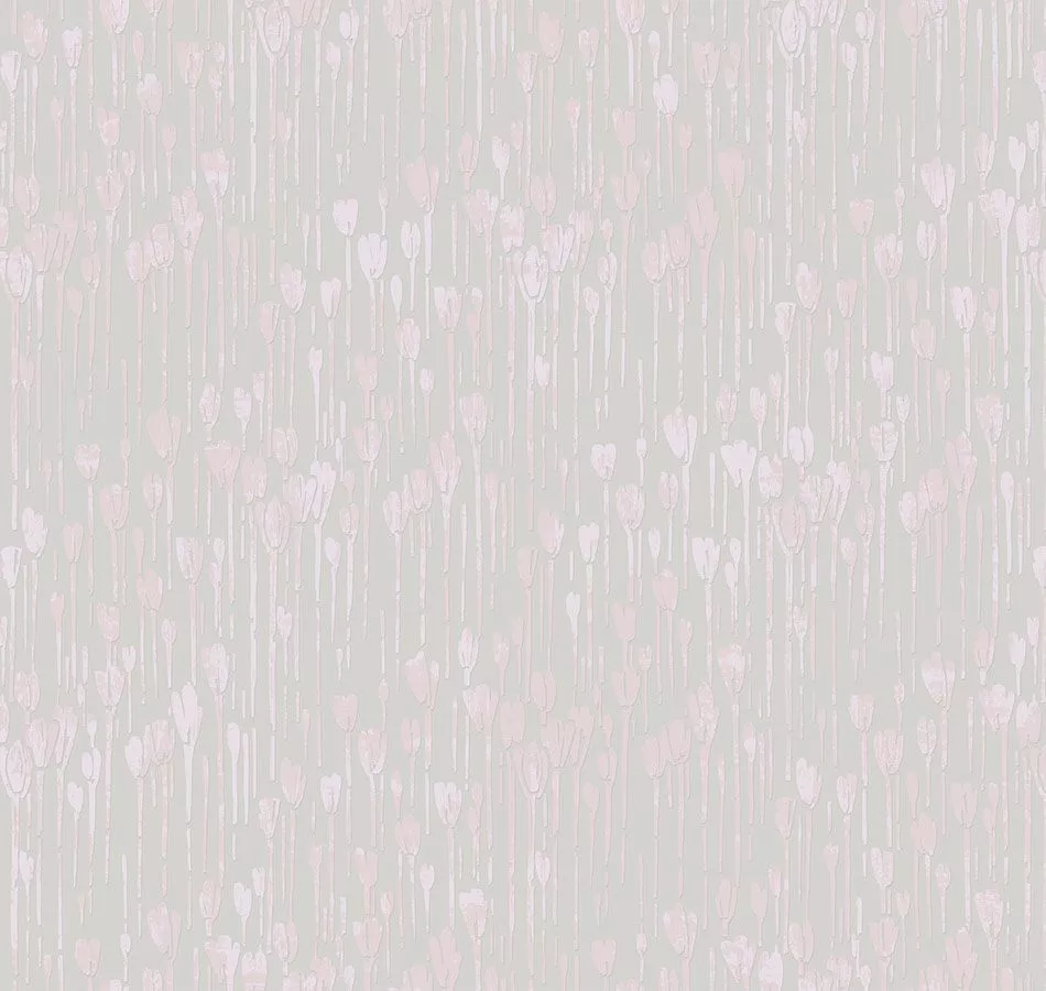 DM1 007