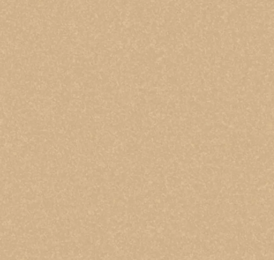 Background ST 501