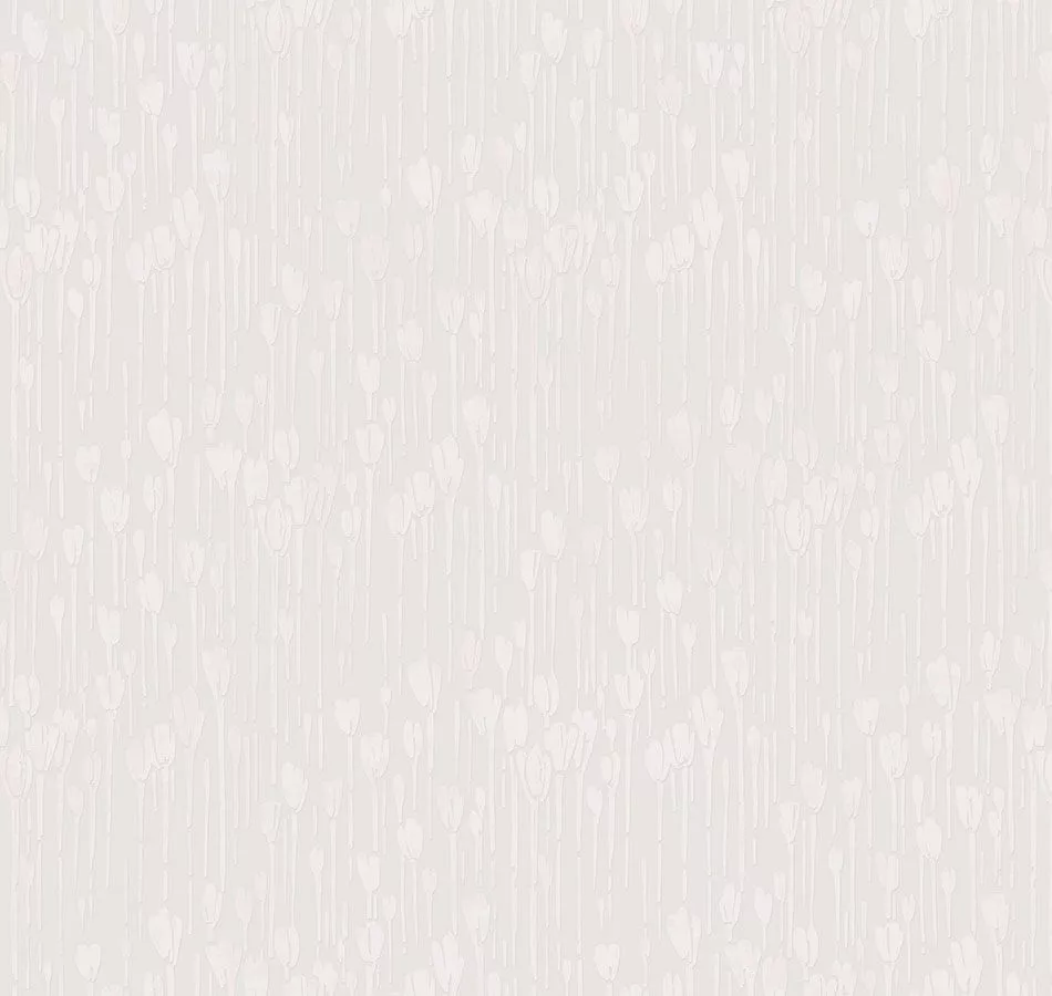 DM1 001/1