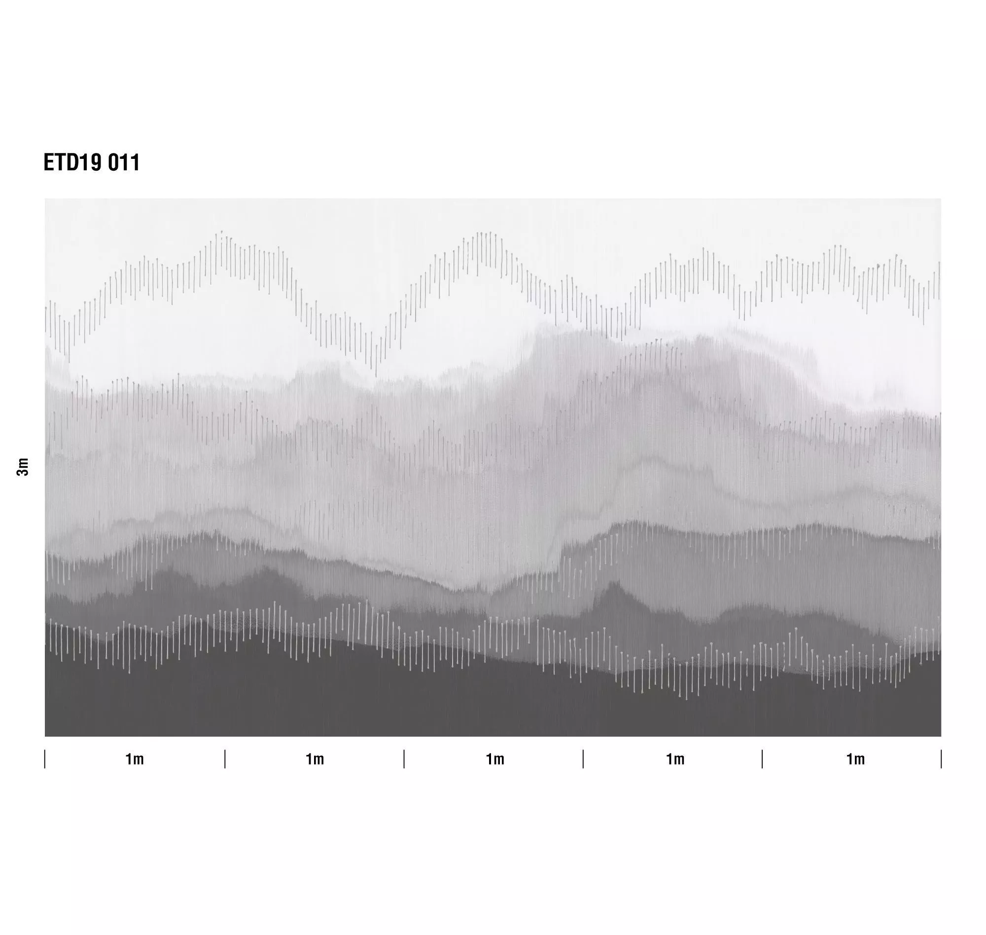 Mountain Ridge ETD19 011